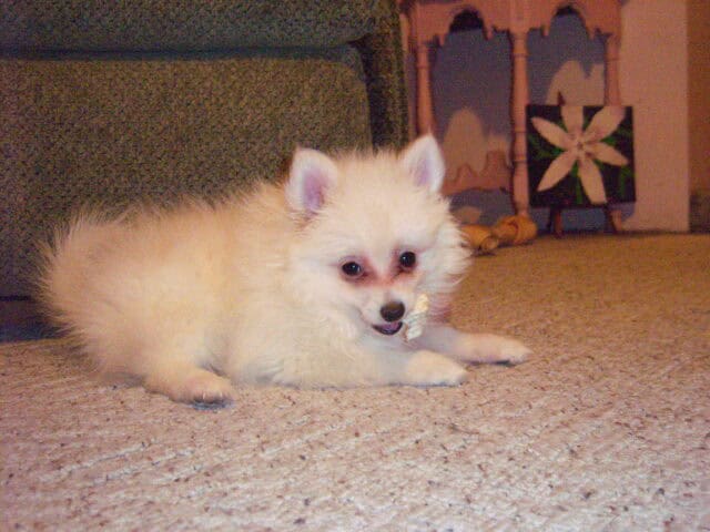 ÂÈÎÔÚàæìòøþ